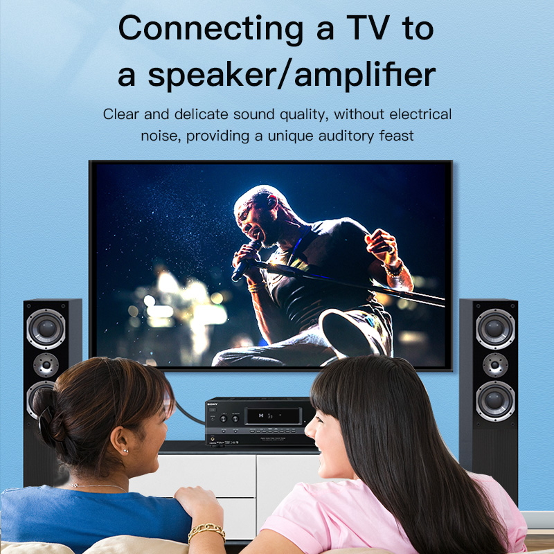 Câble RCA CHOSEAL, câble audio - Home Cinema Beamer avis et prix
